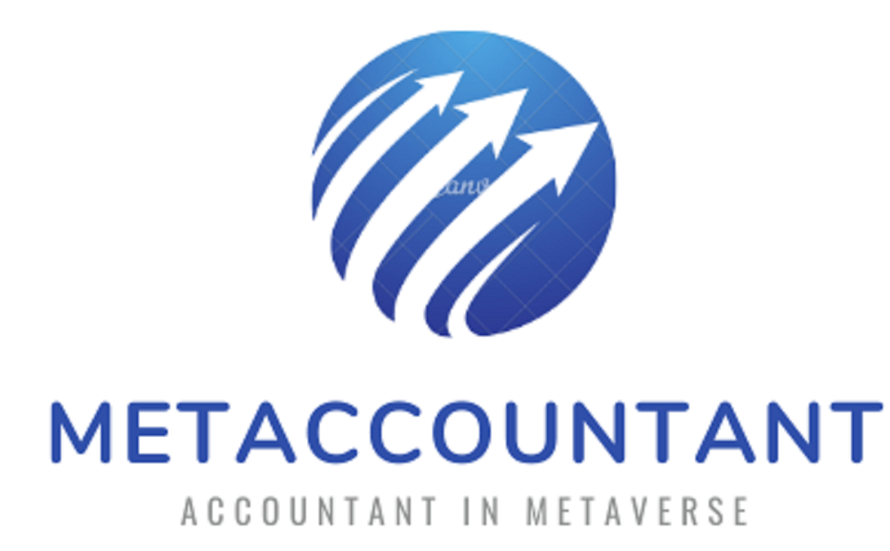 Metaverse of Accountants